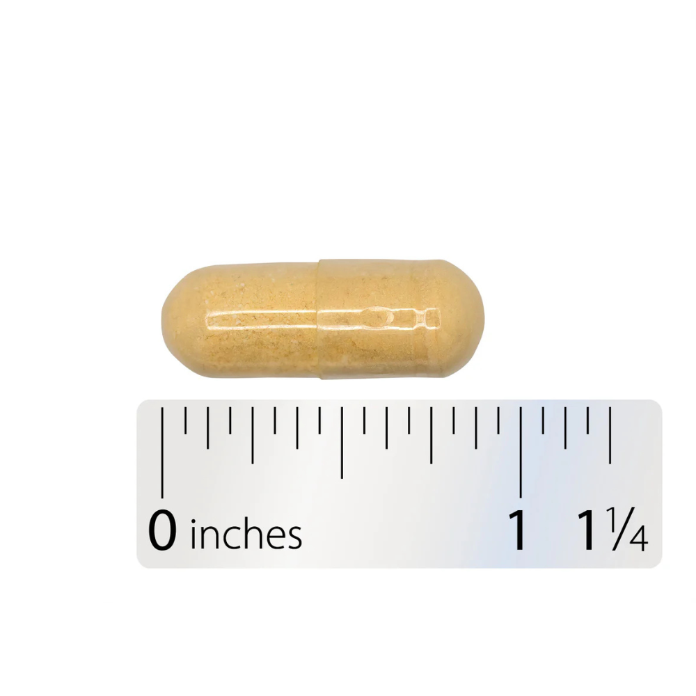 OsteoPrime