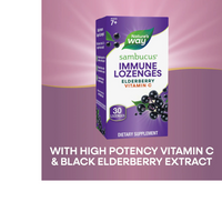 Thumbnail for Sambucus Immune Lozenges