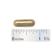 Thumbnail for Echinacea Astragalus & Reishi Premium Blend