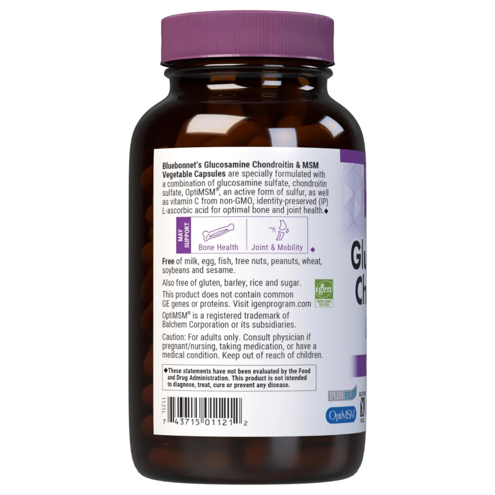 GLUCOSAMINE CHONDROITIN & MSM