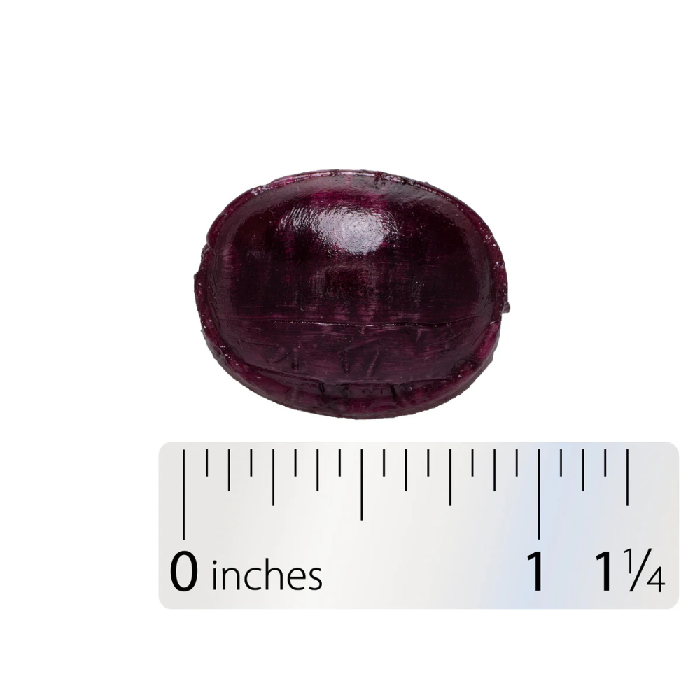 Sambucus Immune Lozenges