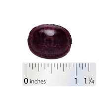 Thumbnail for Sambucus Immune Lozenges