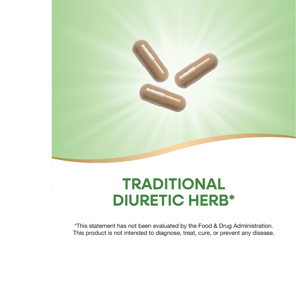 Dandelion Root