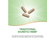 Thumbnail for Dandelion Root