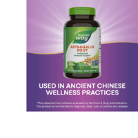 Thumbnail for Astragalus Root