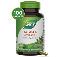Thumbnail for Alfalfa