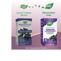 Thumbnail for Sambucus Immune Lozenges