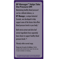 Thumbnail for BP Manager