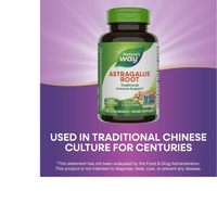 Thumbnail for Astragalus Root