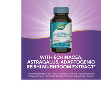 Thumbnail for Echinacea Astragalus & Reishi Premium Blend