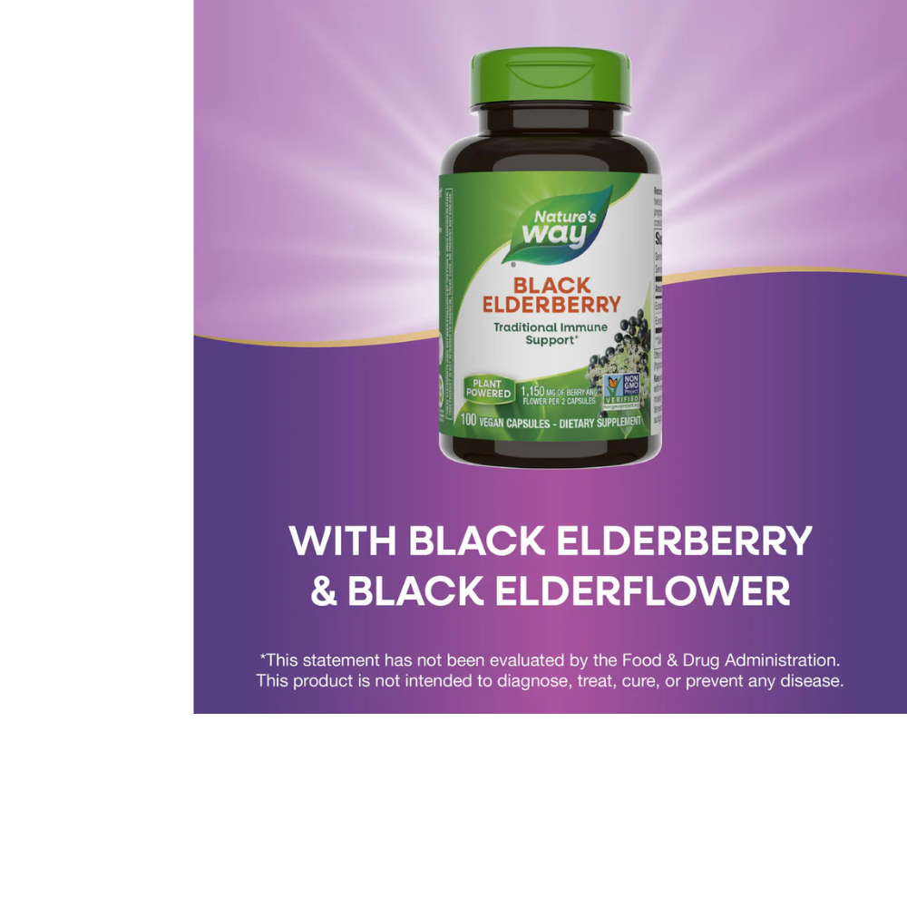 Black Elderberry