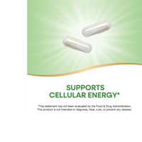 Thumbnail for Pantothenic Acid Vitamin B5