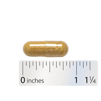 Thumbnail for Thisilyn Milk Thistle Extract