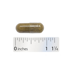 Thumbnail for Skullcap Herb
