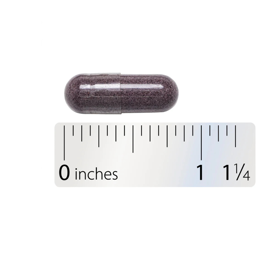 Bilberry
