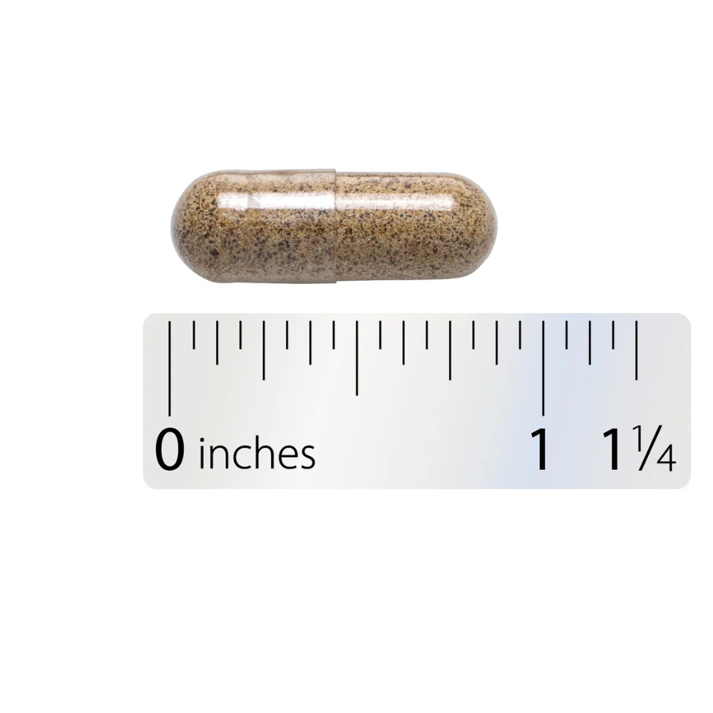 Aloe Latex With Fennel