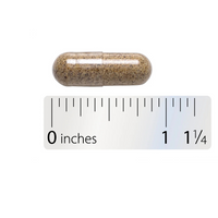 Thumbnail for Aloe Latex With Fennel