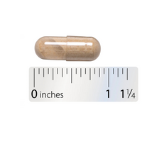 Thumbnail for Asian Ginseng