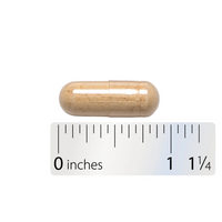 Thumbnail for Astragalus Root