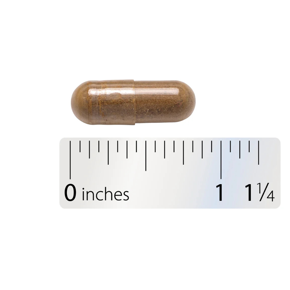 Blood Sugar Manager