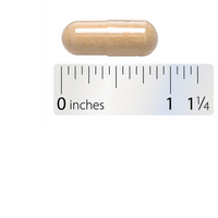 Thumbnail for Astragalus Root
