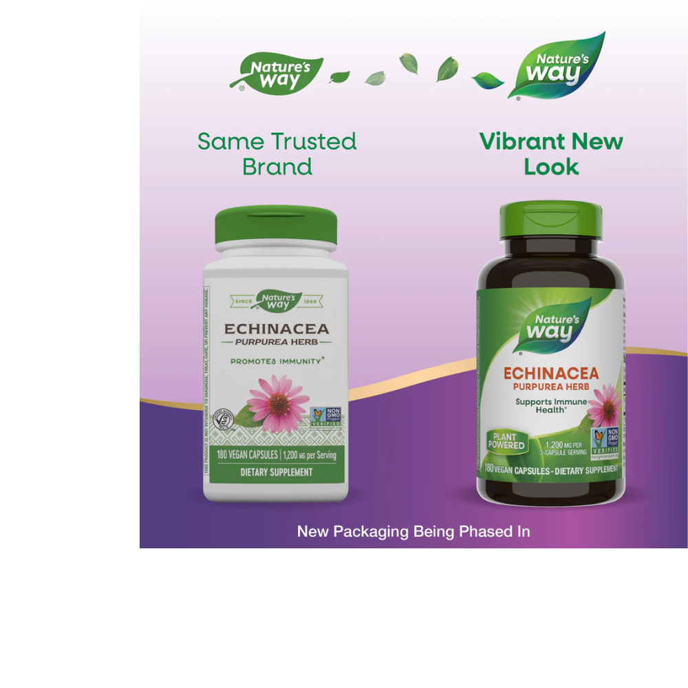 Echinacea