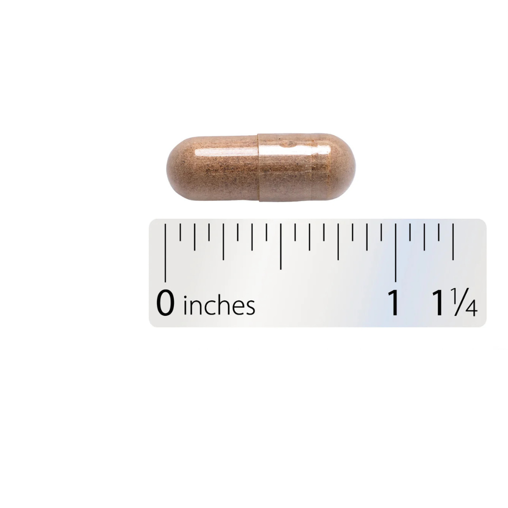 Dong Quai Root