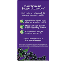 Thumbnail for Sambucus Immune Lozenges