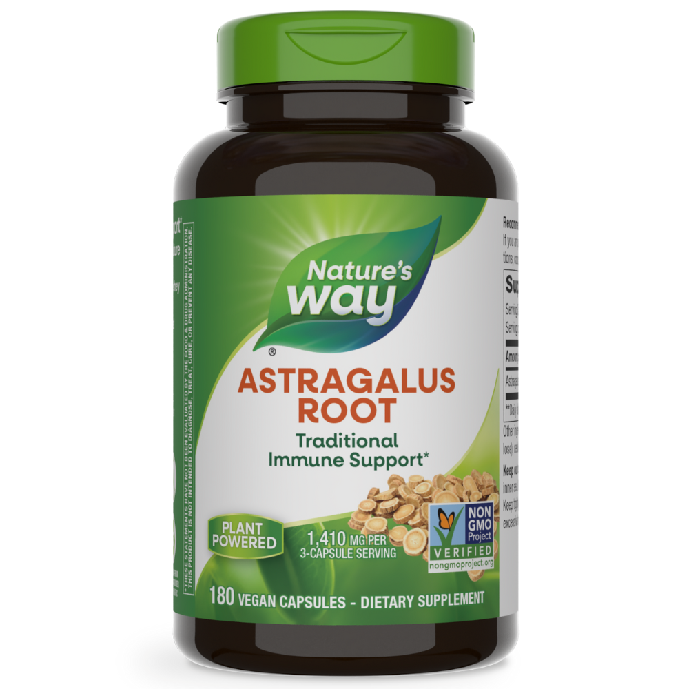 Astragalus Root