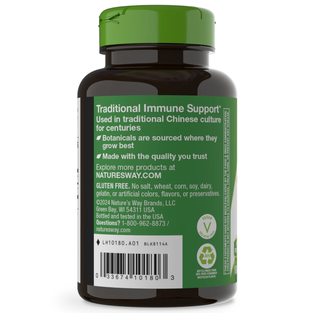 Astragalus Root