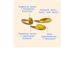 Thumbnail for Balance Oil (Omega 6 + 3)