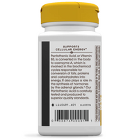 Thumbnail for Pantothenic Acid Vitamin B5