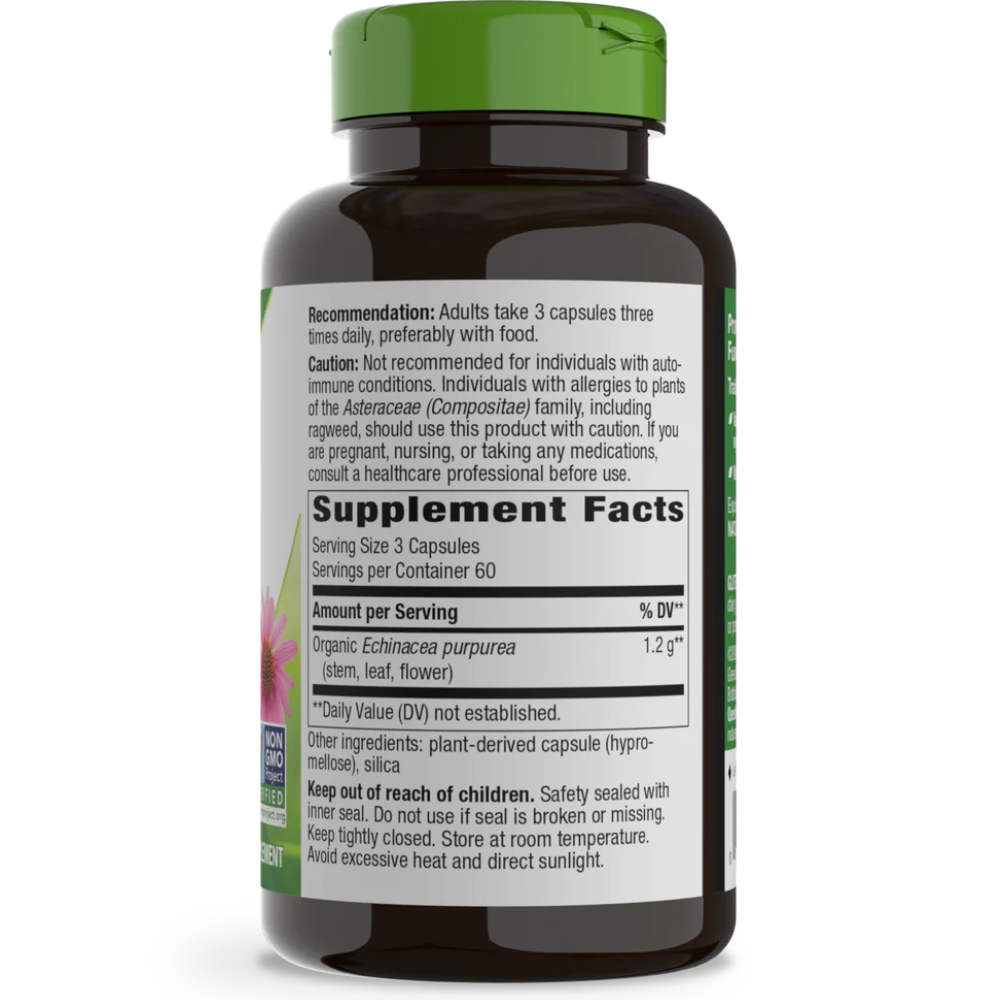 Echinacea