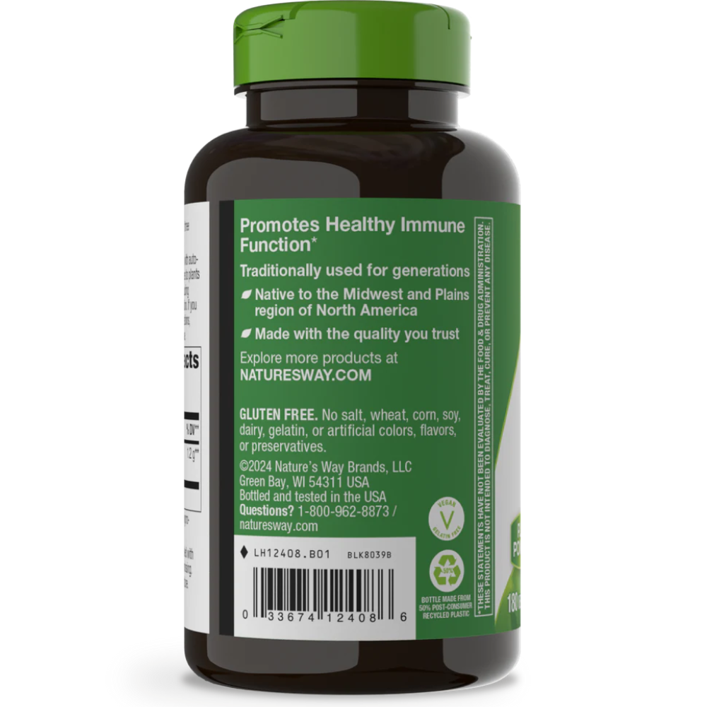 Echinacea