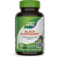 Thumbnail for Black Elderberry