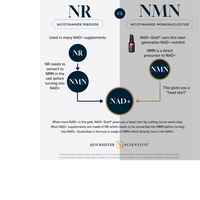 Thumbnail for NAD+ Gold