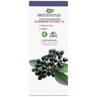 Thumbnail for Sambucus NightTime Syrup