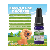 Thumbnail for Allergy Relief for Kids