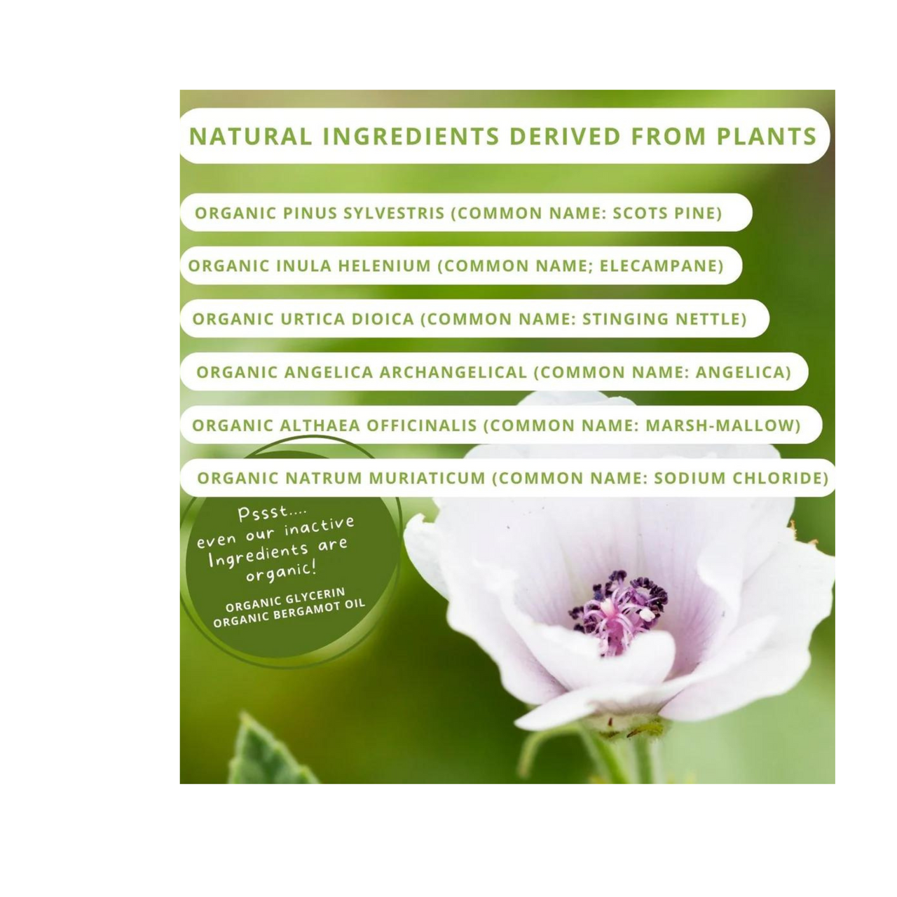 Allergy Relief for Kids