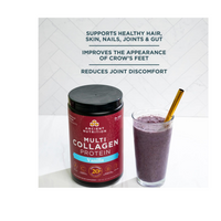 Thumbnail for Multi Collagen Protein
