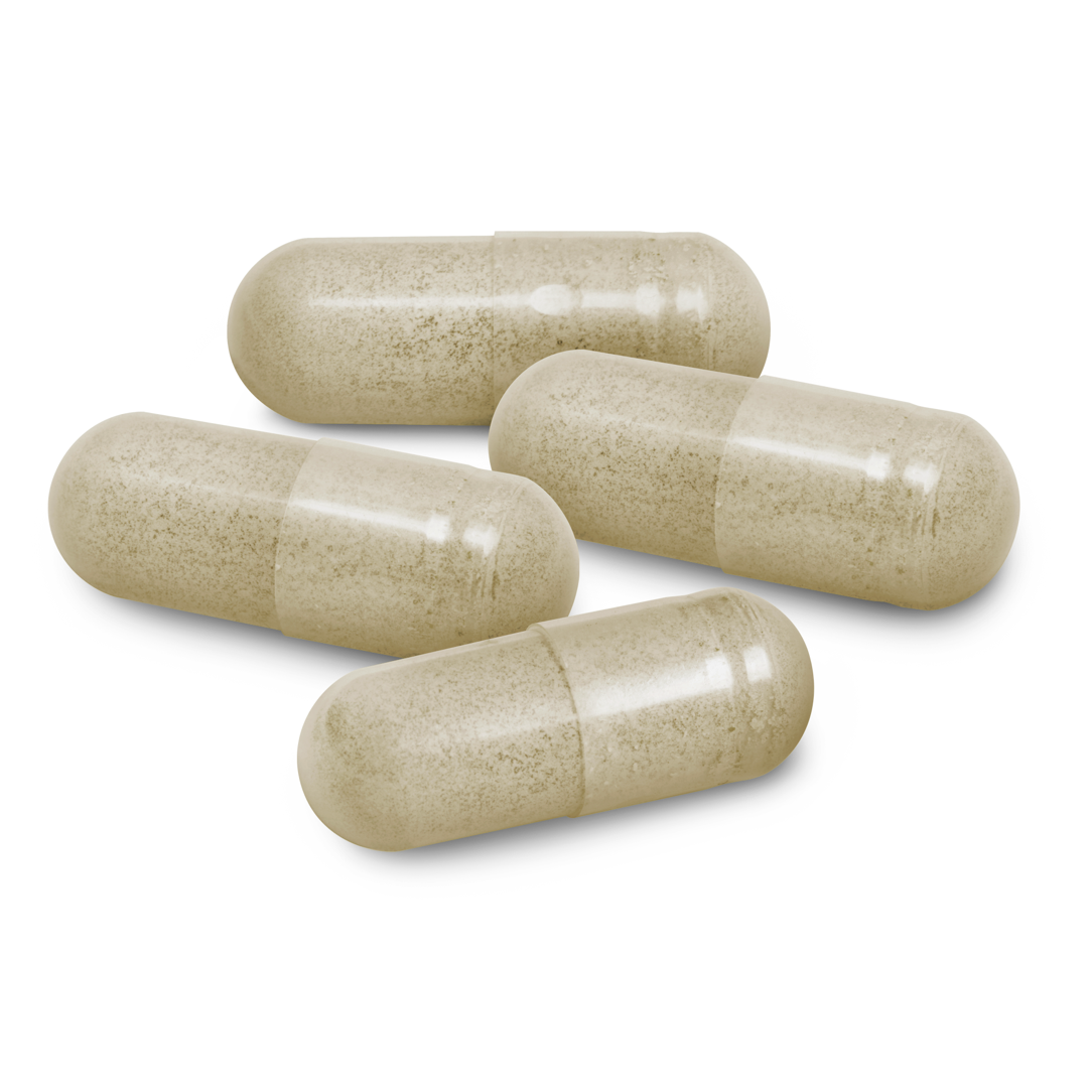 Oregamax - North American Herb & Spice