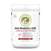 Thumbnail for Joint Mobility GLM