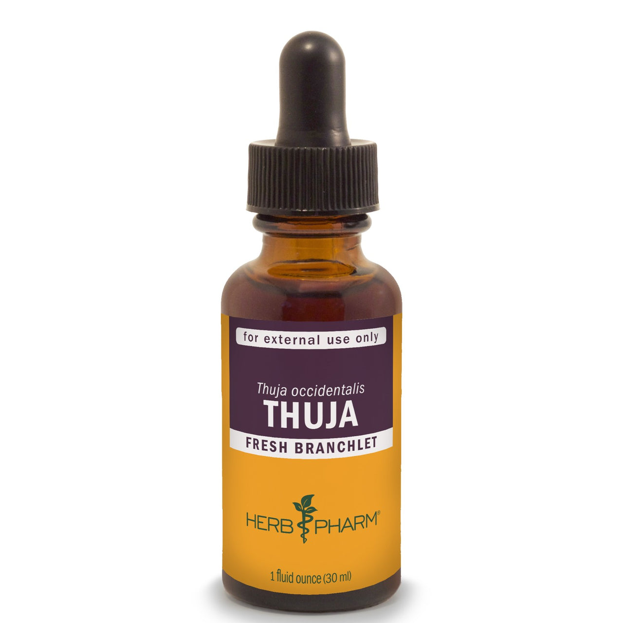 Thuja - My Village Green