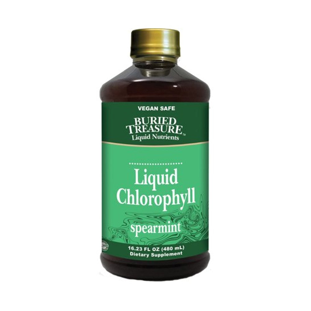 Liquid Chlorophyll Spearmint - Buried Treasure