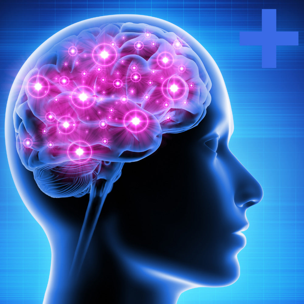 Brain Chemistry Panel +