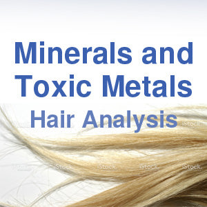 Minerals And Toxic Metals - My Village Green