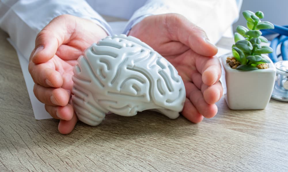 A white ceramic brain being held by a professional