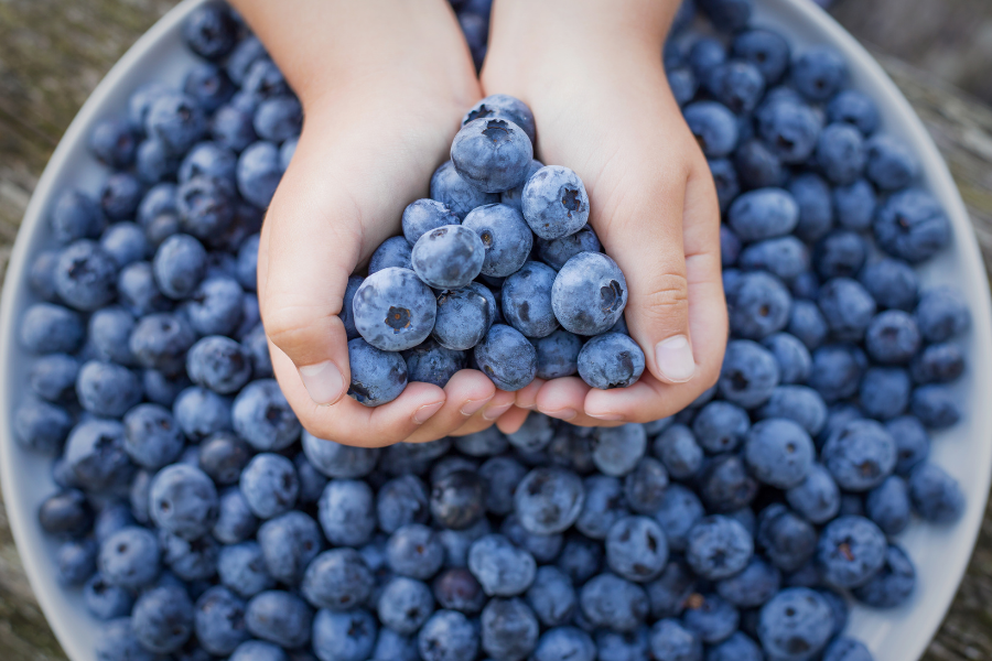 10 Reasons to Eat Blueberries