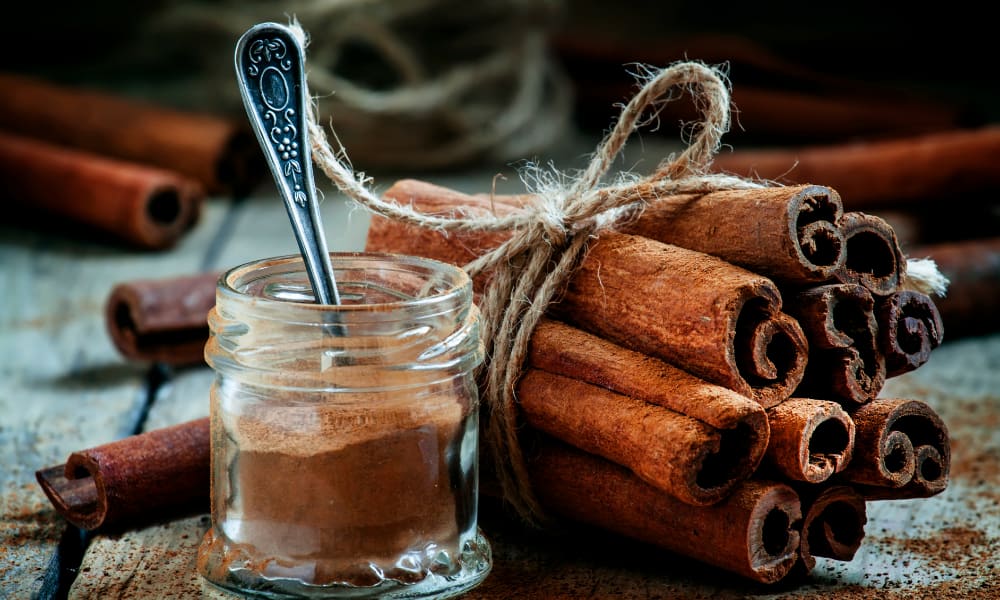 dark cinnamon sticks and powder