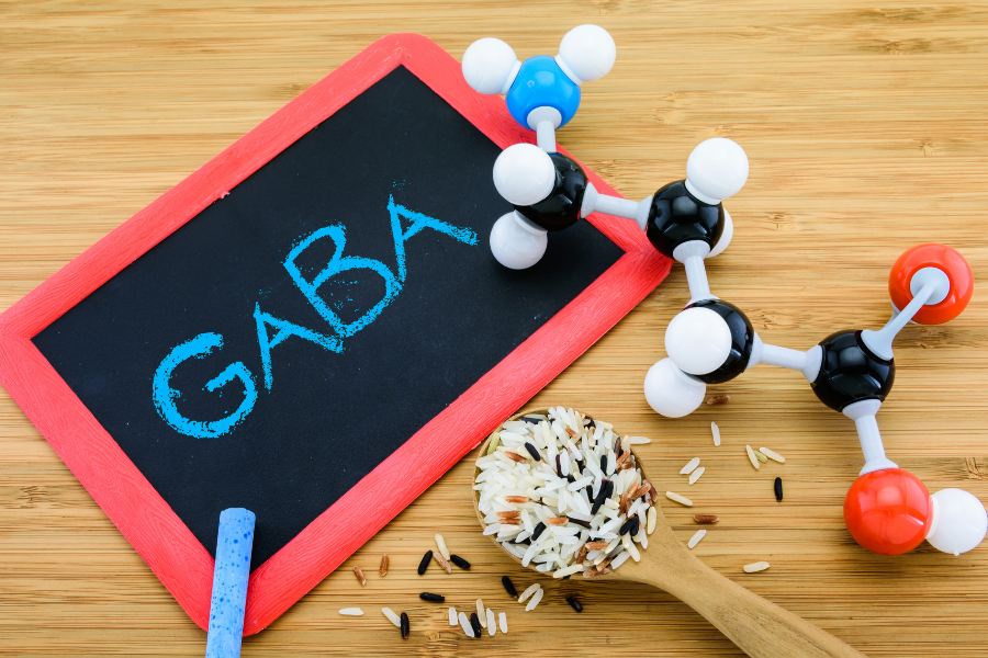 GABA for Weight Loss and Other Important Benefits